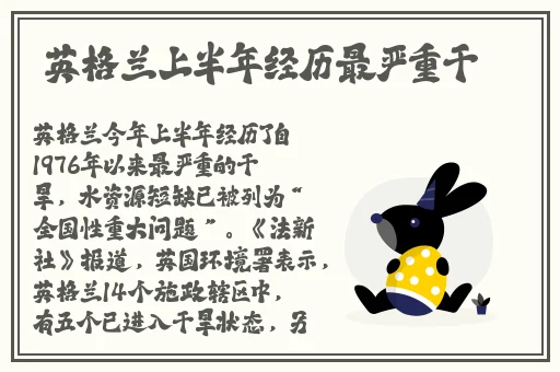 打开腿就能吃到扇贝