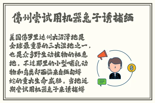 免费观看nba高清直播咆哮视频
